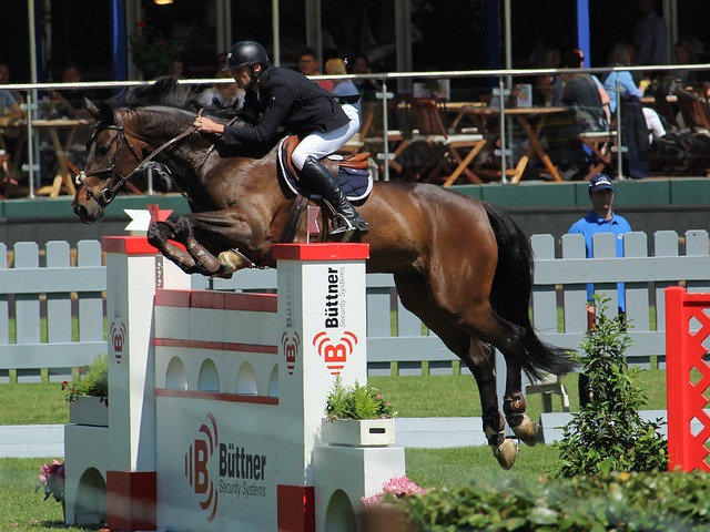 远东运动会 远东运动会