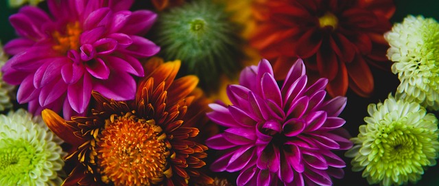 赛的持球时 赛的持球时