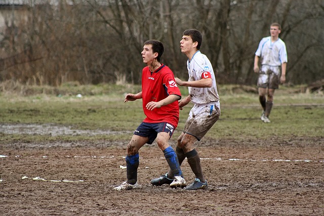 这一表现显 这一表现显