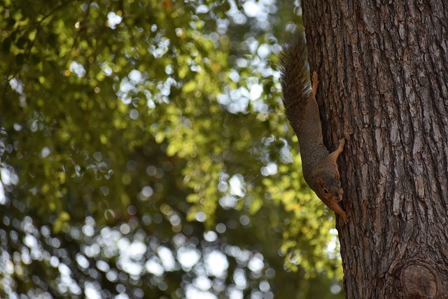 成长契机 成长契机