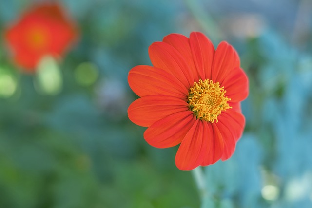 球队人员的 球队人员的