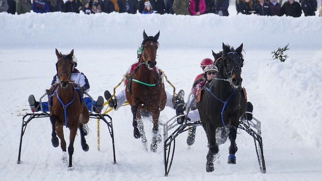 跳伞设施 跳伞设施