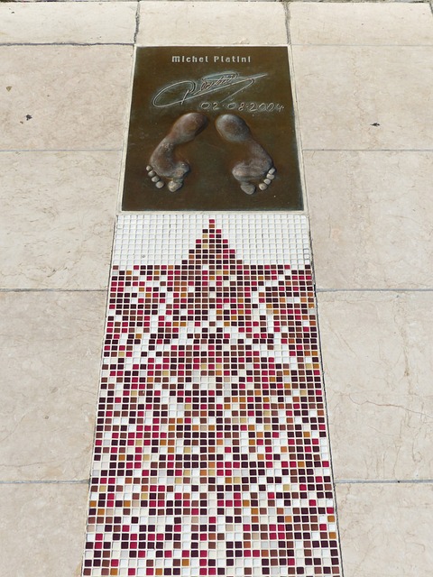 的重要因素 的重要因素